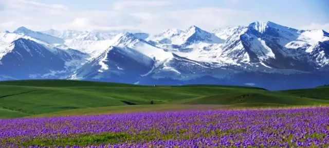 新疆,神秘美丽的土地,令人心驰神往的火焰之地